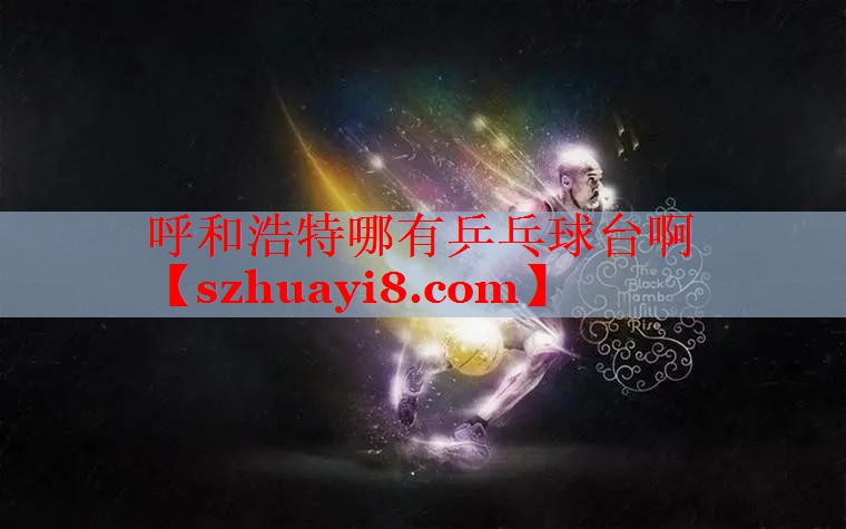 呼和浩特哪有乒乓球台啊
