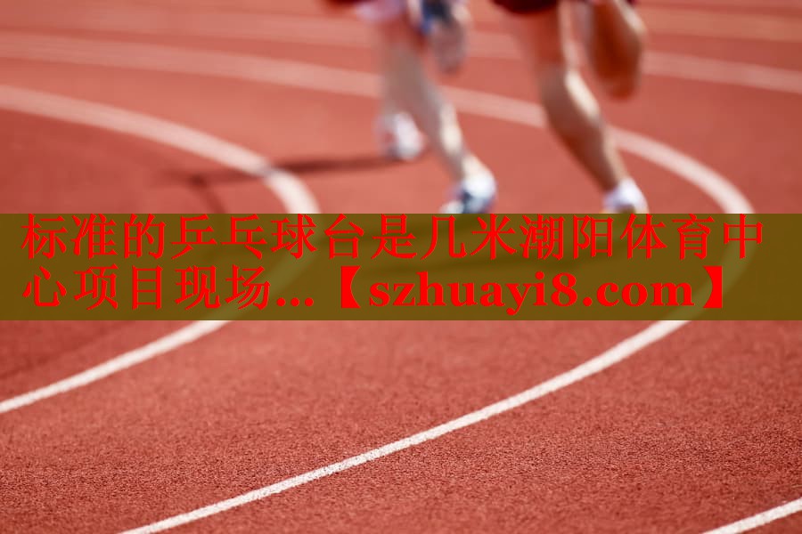 标准的乒乓球台是几米潮阳体育中心项目现场…