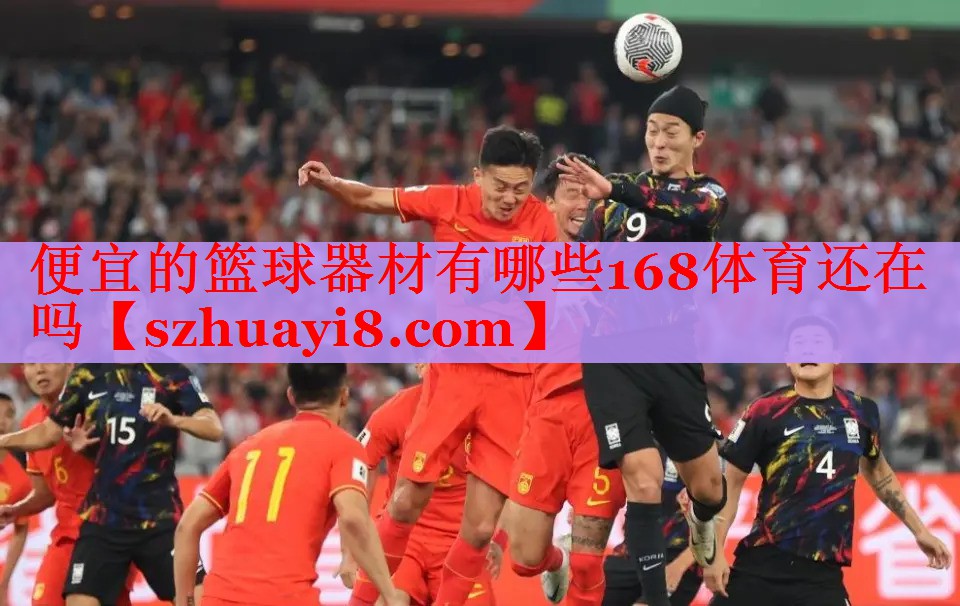 便宜的篮球器材有哪些168体育还在吗