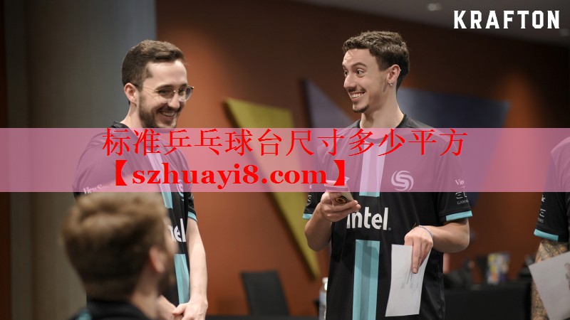 标准乒乓球台尺寸多少平方